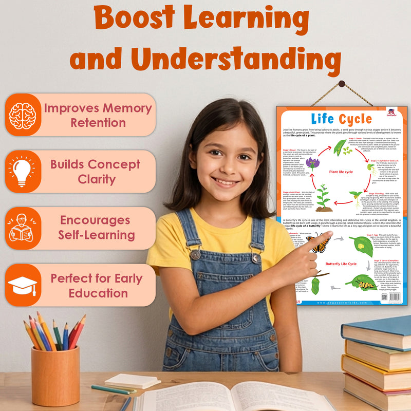 Life Cycle – Plant & Butterfly Life Cycle Learning Poster for Kids (Age 4+ Years)
