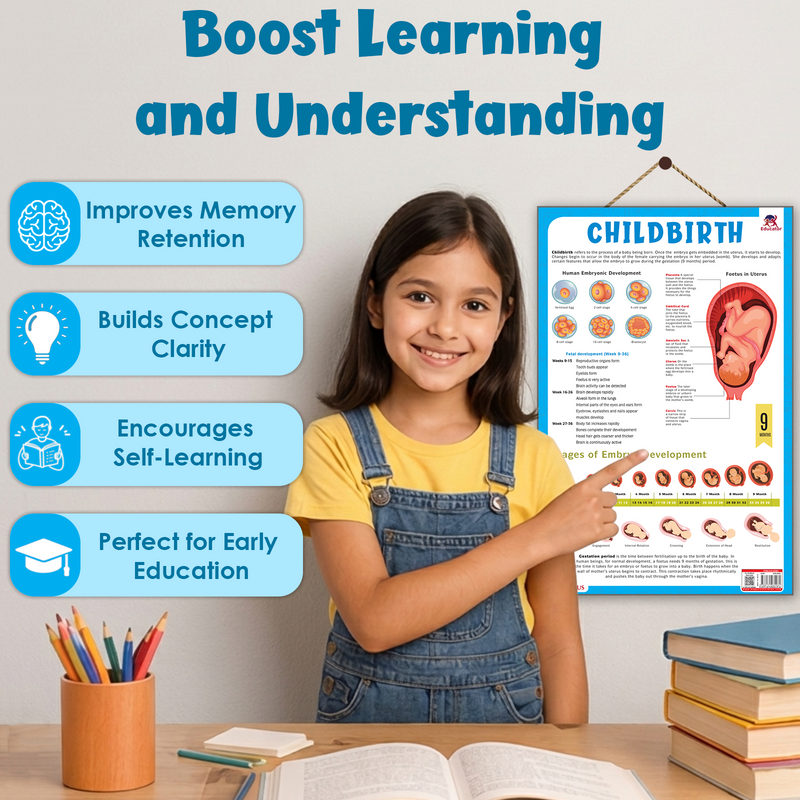Childbirth & Embryo Development – Human Reproductive System & Fetal Growth Poster (Age 4+ Years)