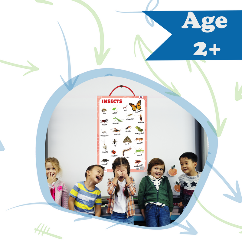 Insects Educational Wall Chart | Laminated Learning Poster with Big Fonts & Realistic Insect Pictures (Age 2+ Years)