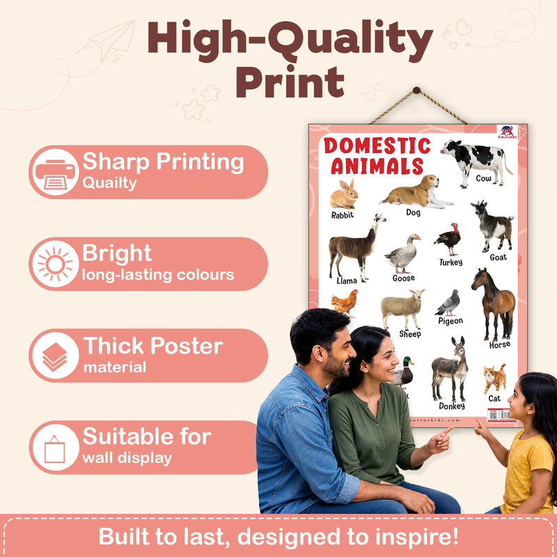 Domestic Animals - Thick Laminated Primary Chart