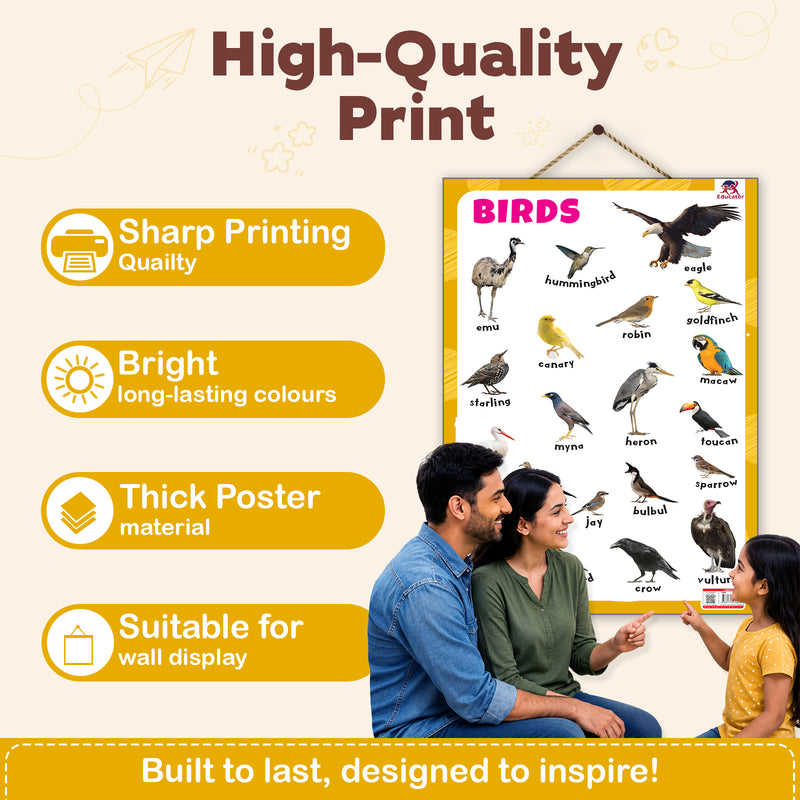 Birds - Thick Laminated Primary Chart