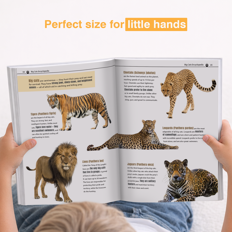 My Very First Big Cats Encyclopedia | Wildlife Book for Kids (Age 4+ Years)