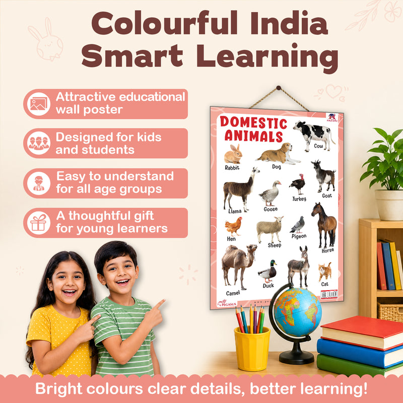 Domestic Animals - Thick Laminated Primary Chart