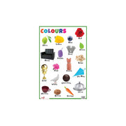 Early Learning children's colour charts, Thick Laminated Animals & Birds Educational Charts