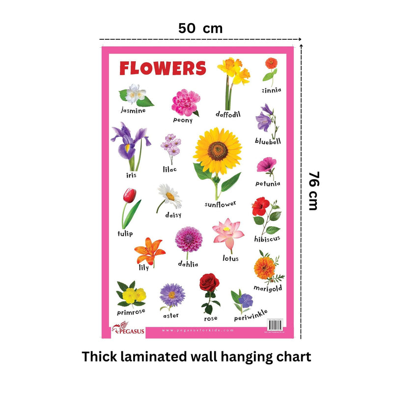 Flowers - Thick Laminated Primary Chart