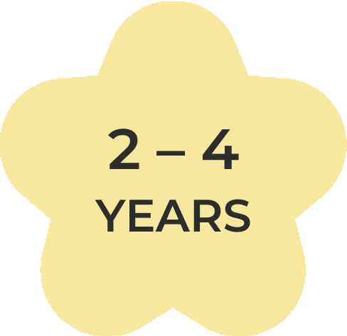 2 - 4 Years