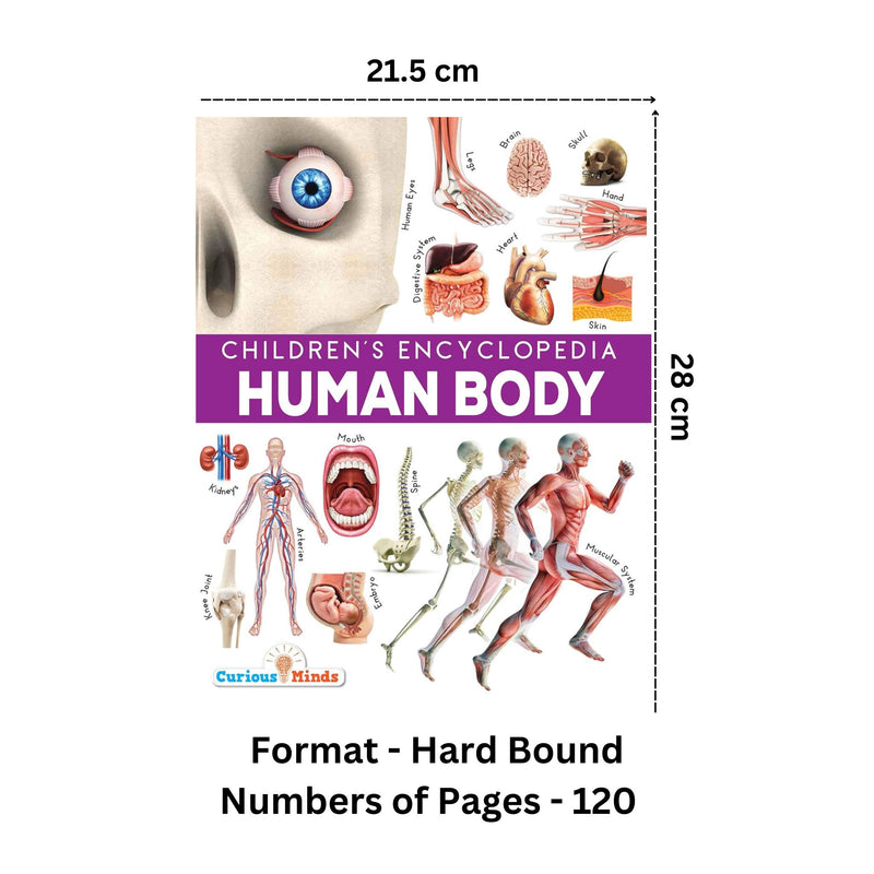 Human Body- Children's Encyclopedia
