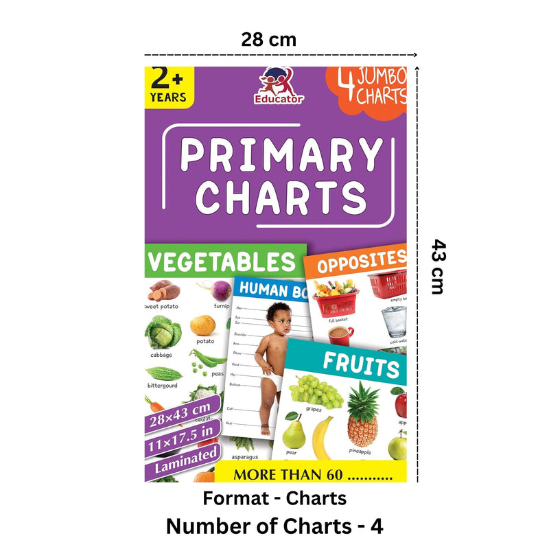 Primary Learning Charts - 4 Jumbo Charts